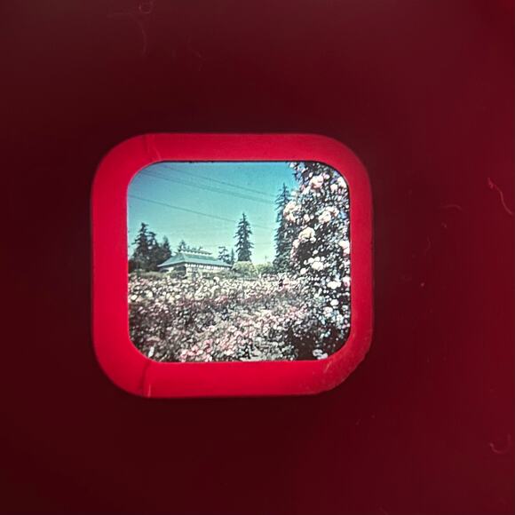 Vintage View-Master Reels – Bryce Canyon & Vancouver – Sawyer’s Inc. 1950s/60s - Picture 4 of 9